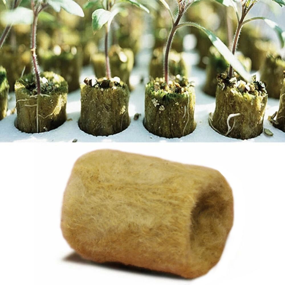 50 Buah Blok Bibit Hidroponik  - Nursery Plug Tray ulasan dan harga