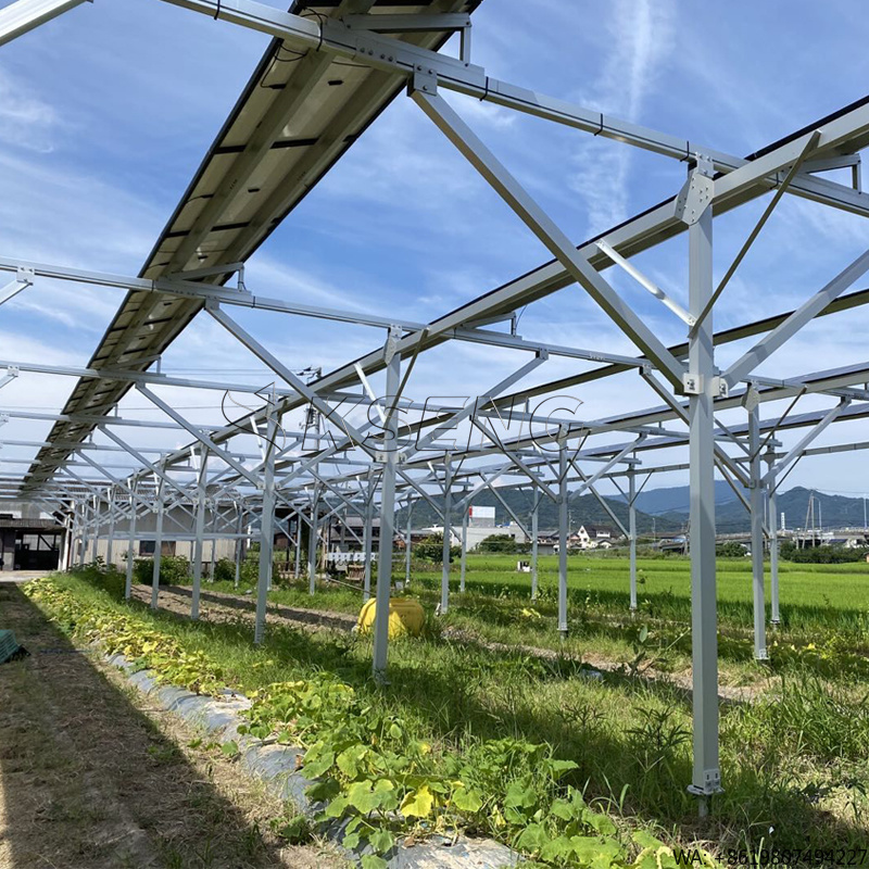 Sistem Pemasangan Panel Surya  - Sustainable Agriculture/Farming ulasan dan harga