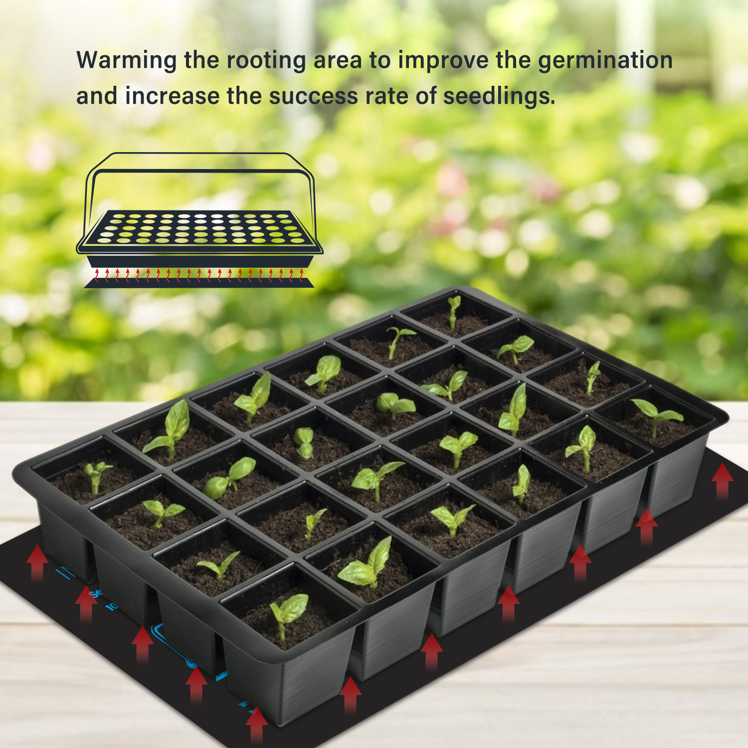 20.75X10CM EU/US/UK/AU Plug Bi - Seedling Heat Mat ulasan dan harga