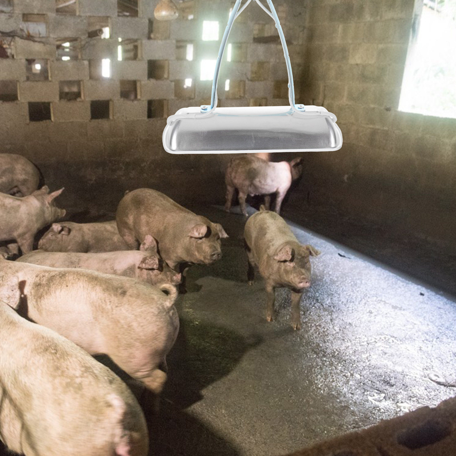Lampu Preservasi Peternakan Ba - Farming A ulasan dan harga